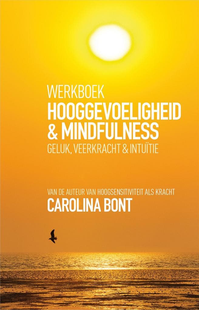 Werkboek hooggevoeligheid & mindfulness 9789021565071, Livres, Psychologie, Envoi