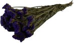 Statice sinuata lamsoor droogbloemen natural blue in hoes, Nieuw