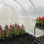 vidaXL Kas 9 m² 300x300x200 cm, Verzenden