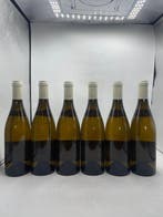 2020 Domaine Françoise & Denis Clair - Santenay AOC - 6