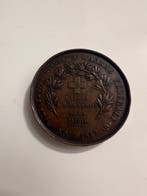 Zwitserland. Medal Svizzera – Medaglia storica del 1847