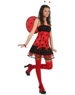 Carnavals verkleed pakje lieveheersbeestje voor dames, Ophalen of Verzenden