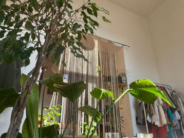 Appartement en Rue du Lavoir, Brussels, 50 m² ou plus, Bruxelles