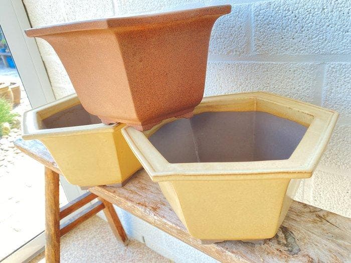 Bonsai potten 3 stuks - Hoogte (boom): 0 cm - Diepte (boom):, Antiek en Kunst, Curiosa en Brocante