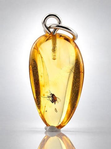Oud Baltisch amberhanger – spectaculair bewaard, Antiek en Kunst