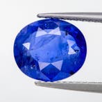 1 pcs Blauw Saffier - 3.90 ct - Asian Institute of, Nieuw