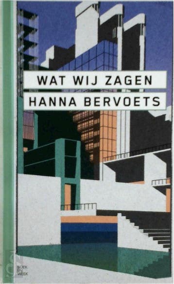 Wat wij zagen - Hanna Bervoets 9789059655461 Hanna Bervoets, Verzenden, Zo goed als nieuw, Hanna Bervoets