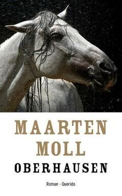 Oberhausen (9789021400303, Maarten Moll), Livres, Romans, Envoi