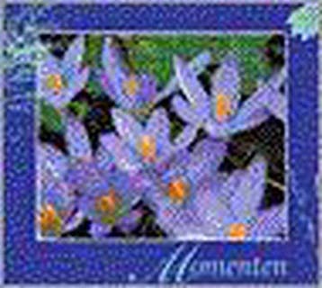 Momenten boek & cd - Polderman, Verzenden