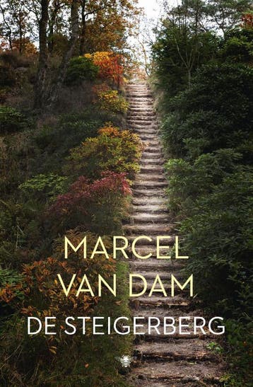 De steigerberg 9789023476597 Marcel van Dam, Verzenden, Marcel van Dam