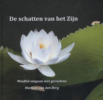 De schatten van het zijn 9789081898225 Marleen van den Berg, Boeken, Verzenden, Gelezen, Marleen van den Berg