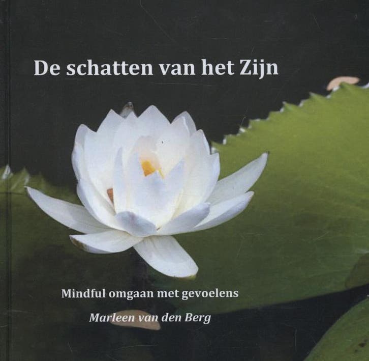 De schatten van het zijn 9789081898225 Marleen van den Berg, Boeken, Esoterie en Spiritualiteit, Gelezen, Verzenden