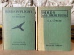 W. P. Pycraft - T.A. Coward - Roland Green - Birds in Flight