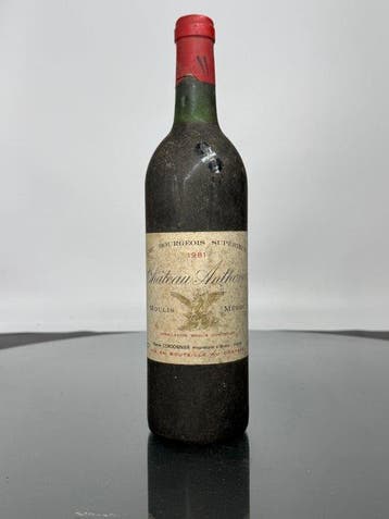 1981 Chateau Pontet-Canet, Château Anthonic & Château de La