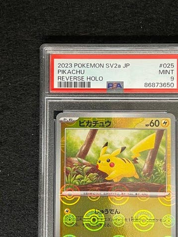 Pokémon Graded card - Pikachu 025 Foil, Holo, First edition,, Nieuw