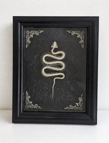 Decoratief ornament - Slangen-skeletkunst