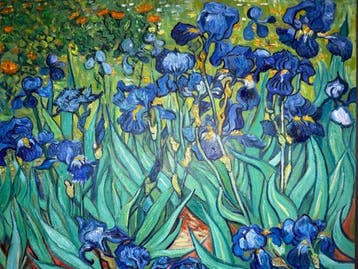 Vincent Van Gogh (1853-1890), After - Les Iris (Irises) 1890, Antiek en Kunst
