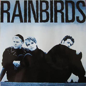 Rainbirds - Rainbirds, Verzenden, Gebruikt