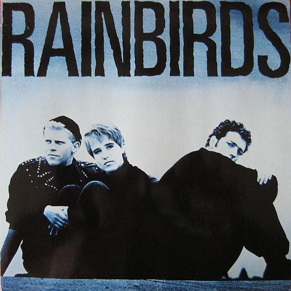 Rainbirds - Rainbirds, CD & DVD, Vinyles | Pop, Envoi