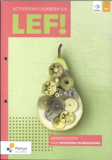 LEF! 5/6 Activerend leerboek Werkveldgids voor opvoeding en, Boeken, Verzenden, Zo goed als nieuw, Els Vanaudenaerde