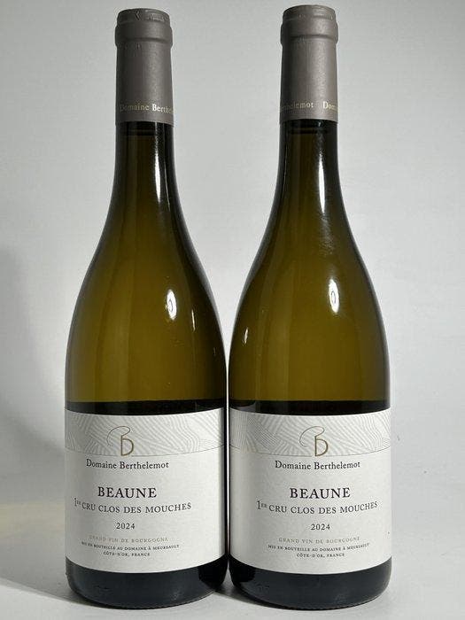 2024 Domaine Berthelemot Clos des Mouches Blanc - Beaune, Verzamelen, Wijnen