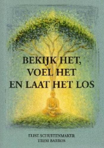 Bekijk het, voel het en laat het los 9789077668061, Boeken, Esoterie en Spiritualiteit, Gelezen, Verzenden