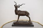 sculptuur, Bronze Sculpture of an African Kudu – Elegant