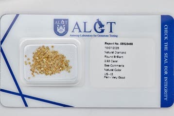 Zonder minimumprijs - 225 pcs Diamant (Natuurlijk) - 0.93 ct, Handtassen en Accessoires, Edelstenen, Nieuw