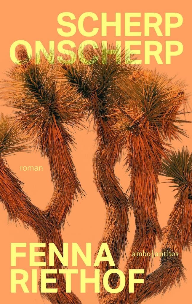 Scherp onscherp 9789026372117 Fenna Riethof, Livres, Romans, Envoi
