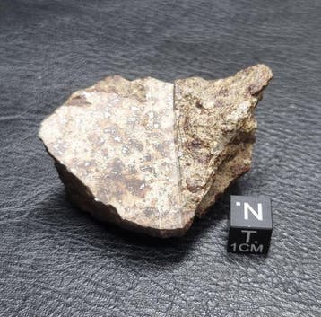 NWA 18102 (L5 S4 W3) chondrite ordinaire - 68.16 g