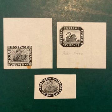 West-Australië 1854 - 3 herdrukken van Fournier - Stanley