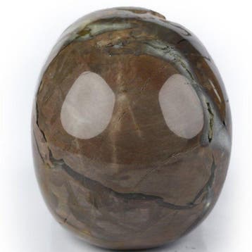 86 g Dino Egg Achat Skull – Œuf de Phanes – Mythe orphique