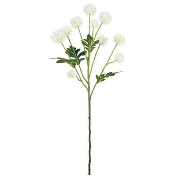 Pom Pom Ivory 61 cm per stuk, Nieuw