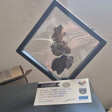 Al Haggounia + certificat Météorite de pierre-fer - Hauteur, Collections