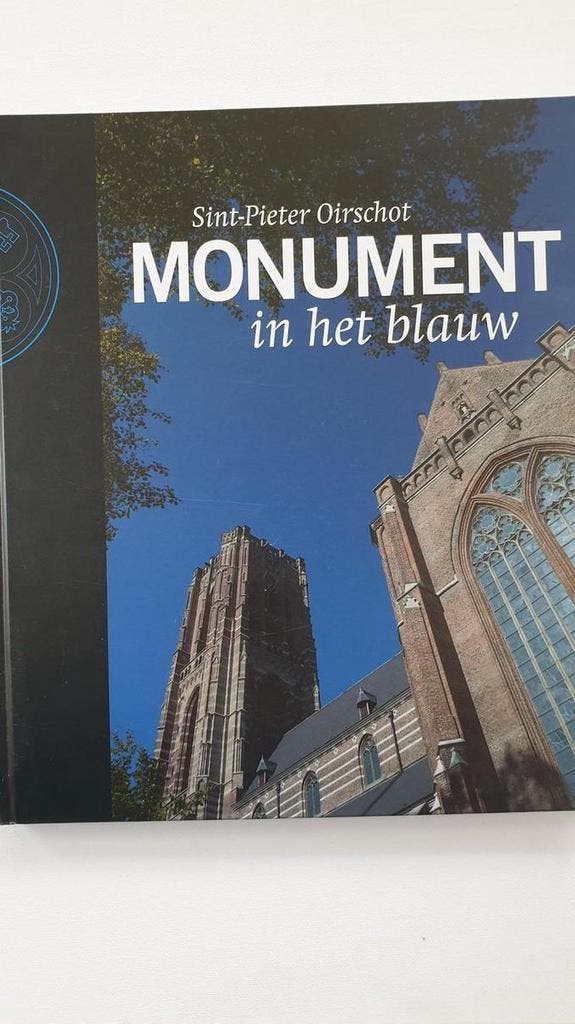 Monument in het Blauw 9789080864207 Nicoline van Tiggelen, Boeken, Kunst en Cultuur | Architectuur, Zo goed als nieuw, Verzenden