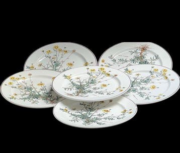 Villeroy & Boch - Plat (6) - botanica - Porcelaine