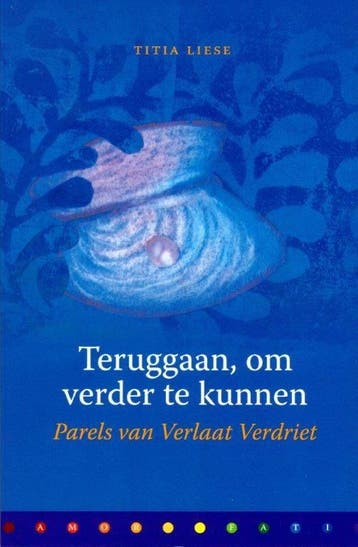 Teruggaan, om verder te kunnen / Verlaat Verdriet Focusreeks, Boeken, Verzenden, Gelezen, T. Liese