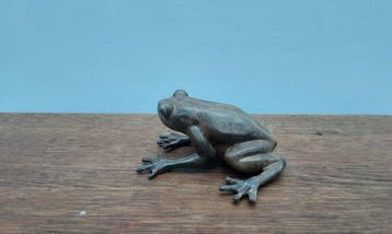 Figure - P. Chenet - Schildpad - 13,5 cm - Bronze, Antiek en Kunst