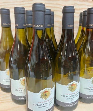 2023 Domaine Hubert Lignier Au Gué - Coteaux Bourguignons