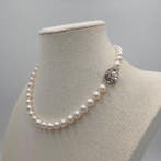 Halsketting Zilver Parel - Akoya 8,5 mm 16,5 in, Nieuw