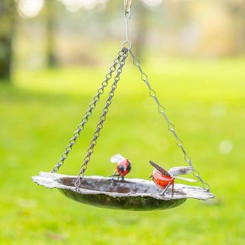 Vogelbad - Metaal - Vogeldrinkbak