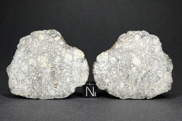Meteoriet NWA 15658, eucriet, asteroïde van Vesta,, Verzamelen, Mineralen en Fossielen
