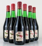 1969 Bodegas Campo Viejo - Rioja Reserva - 6 Flessen (0.75, Nieuw