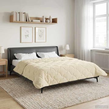 vidaXL Zomer Deken Crème 220 x 260 cm Microvezel en Teddy, Verzenden