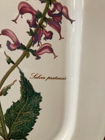 Villeroy & Boch - Botanica - Plateau - Vitro Porcelaine -
