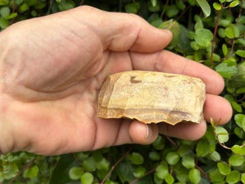 Paleolithisch 7 Paleolithische Artefacten – Marokko (Zonder