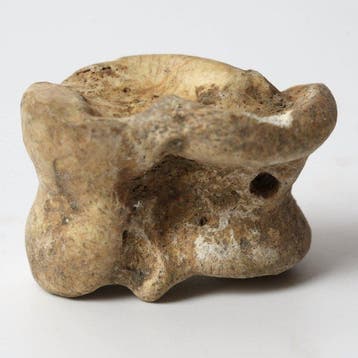 Oud-Romeins Been Astragalus (Knucklebone) voor gaming