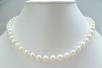 Halsketting - 14 kt. geelgoud - ronde, 8–8,5 mm - Akoya