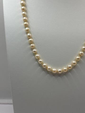 Collier - 18 carats Or blanc Perle - Perle - Perles et
