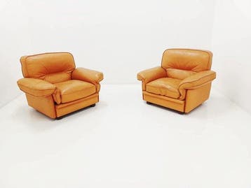 Zitgroep - Hout, Leder - Een paar vintage fauteuils.